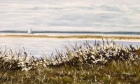 Beach Plum