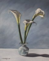 Calla Lilies