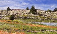 Cape Pogue Marsh