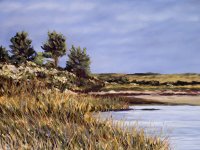 Cappaquiddick Cove