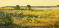Chappaquiddick
