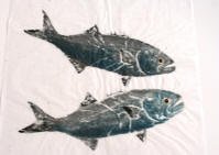 Two Blue Fish