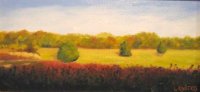 Fields of Gold