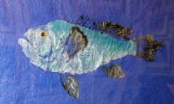 Sea Bass