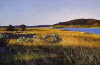 Fall Marsh