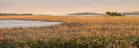 Low Country Marsh