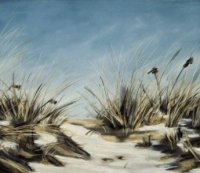 Sand and Snow