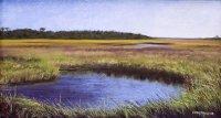 Spring Marsh