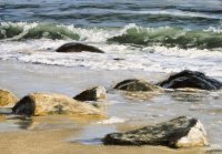 Squibnocket Rocks