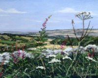 Summer in the Cotswolds