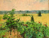 Vineyard Field