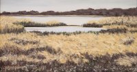 Winter Marsh