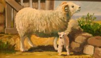 Lambing Season