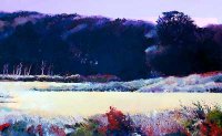 Marshes