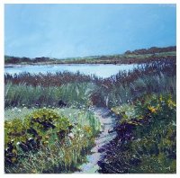 Marsh