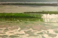 Vineyard Water