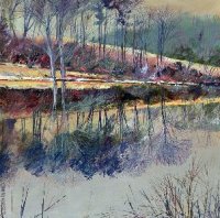 Winter at Tashmoo