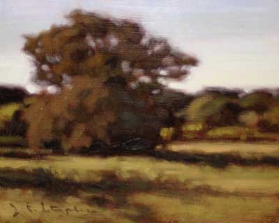 Jeanne Staples - Oak Bluffs Meadow