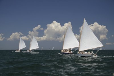  - Catboats Racing Downwind