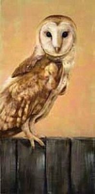 Caryn King - Barn Owl
