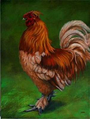 Caryn King - Rooster