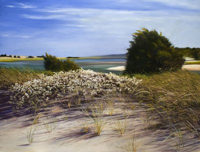 Leslie S. Self - Chappaquiddick Spring