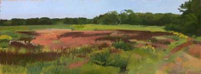 Liz Taft - Conservation Meadow