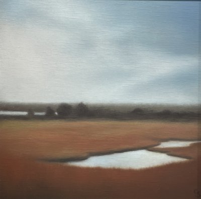 Christie Scheele - Fall Marsh with Tidal Pools #1