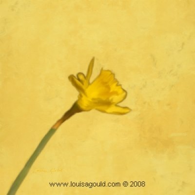 Louisa Gould - Daffodill