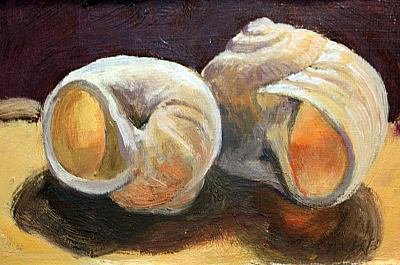 Donna Macomber Blackburn - Two Shells