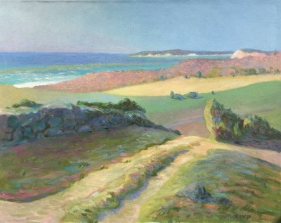 Nancy Furino - Chilmark - View of Lucy Vincent