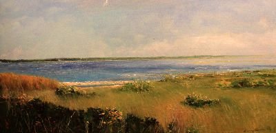 Gray Park IV  - Longpoint
