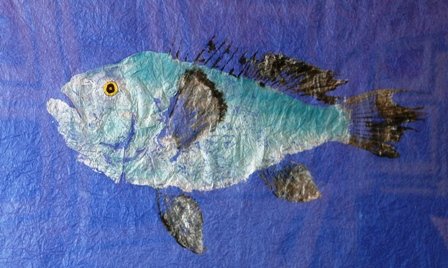 Steve London - Sea Bass