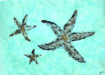 Steve London - 3 Starfish
