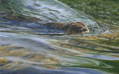 Linda Besse - Ripples - River Otter