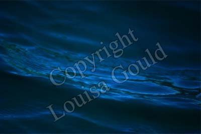 Louisa Gould - Blue Water