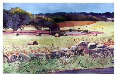 John Holladay - Hay