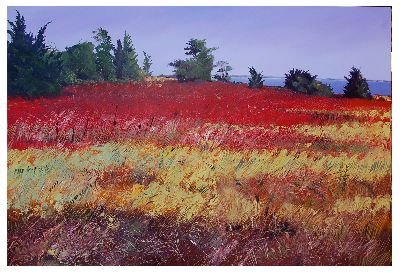 John Holladay - Owen Park