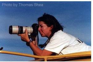 Louisa Gould