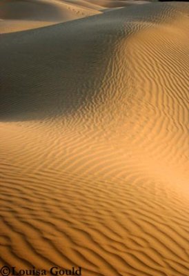 Louisa Gould - Thar Desert, 2006