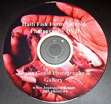 Louisa Gould - cd dvd screensavers