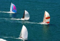 Figawi Race