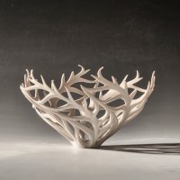 Coral Bowl