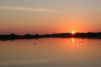 Cow Bay Sunrise