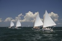 Catboats Racing Downwind