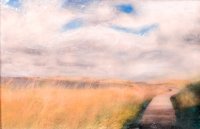Field of Wonder