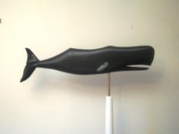 The whale