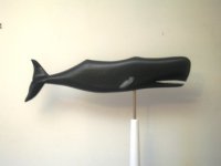 The whale