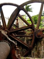 Sugar Plantation Ruins - Nevis
