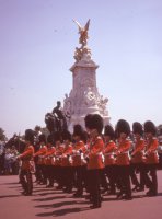 The Queen's Guard - London